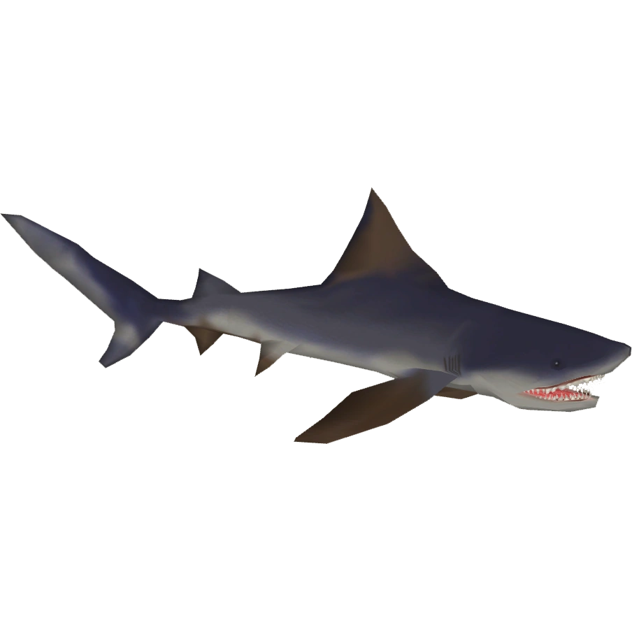 Borneo River Shark