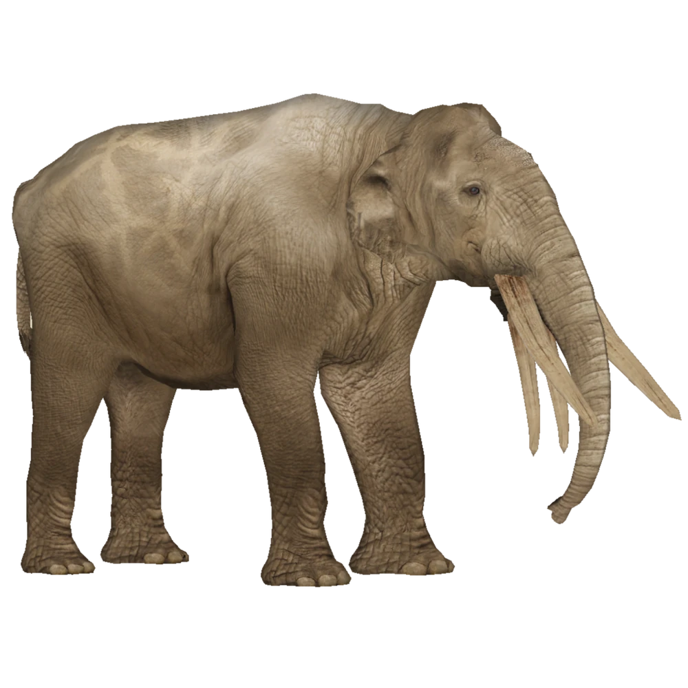 FTP Stegotetrabelodon.z2f
