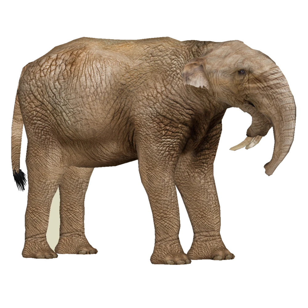 FTP Deinotherium Bozasi.z2f
