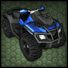 Lizard ATV